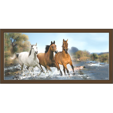 Horse Paintings (HH-3501)